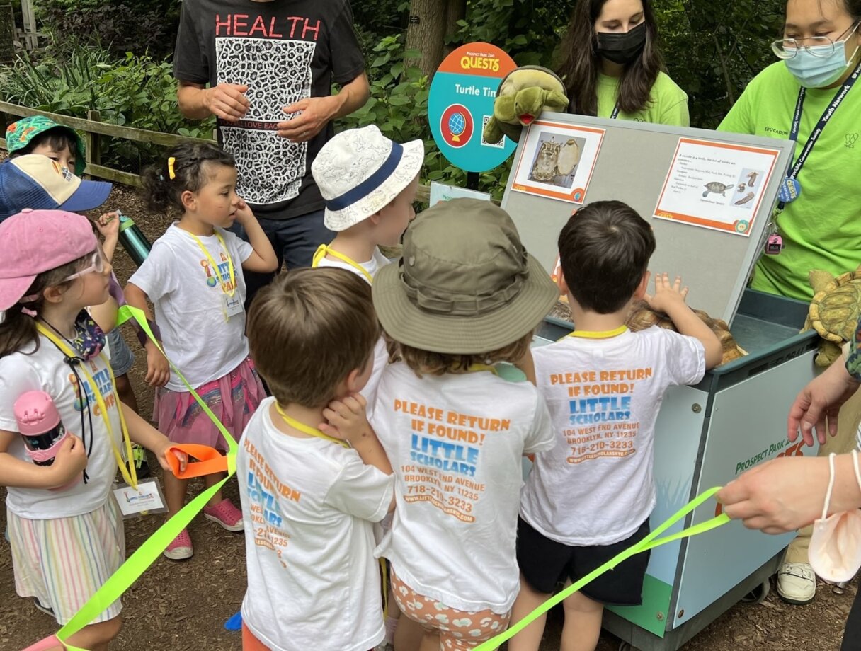 Group of young children engaging with an educational display about turtles on a field trip