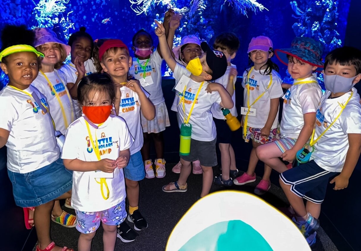 A joyful group of children wearing summer camp T-shirts exploring an aquarium on a field trip