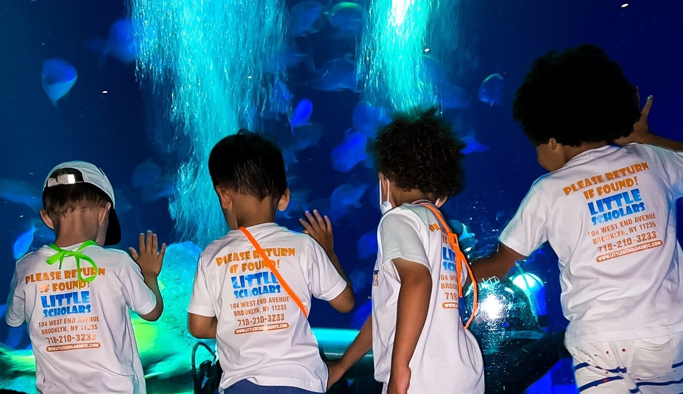 A group of young children wearing matching white T-shirts, looking at an aquarium exhibit with large, illuminated tanks and marine life.