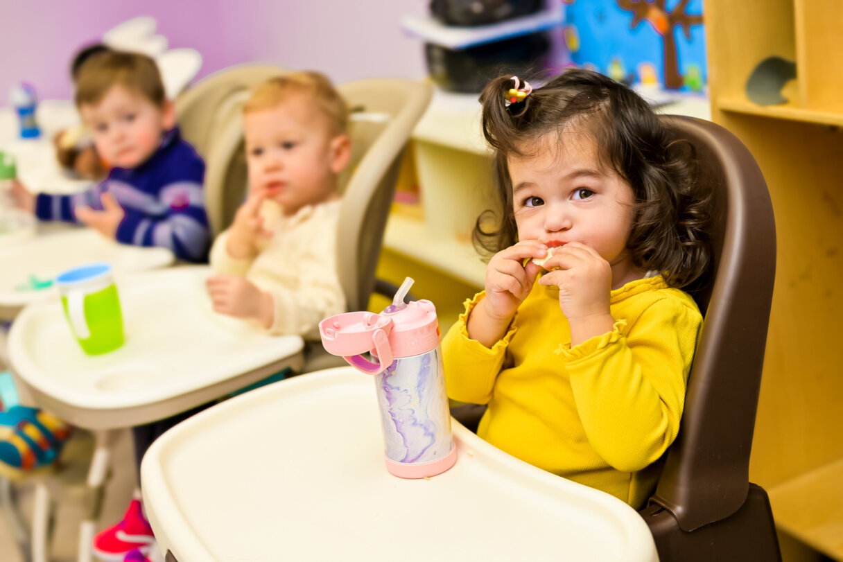 Healthy Eating Tips for Toddlers | Little Scholars Guide