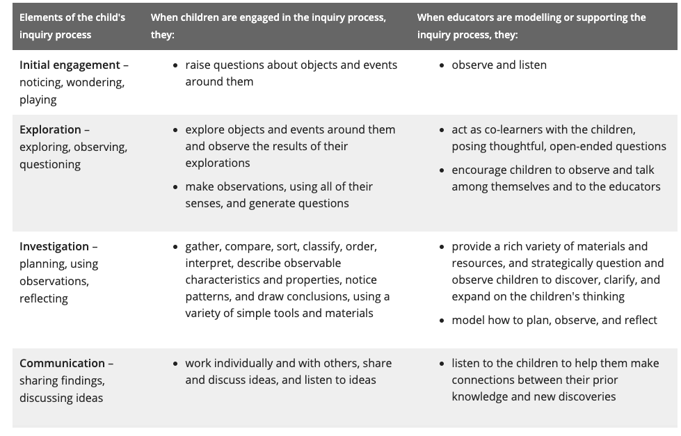 What Emergent Curriculum Means for Families Choosing Daycare in Brooklyn - photo 4 What Emergent Curriculum Means for Families Choosing Daycare in Brooklyn - photo 4