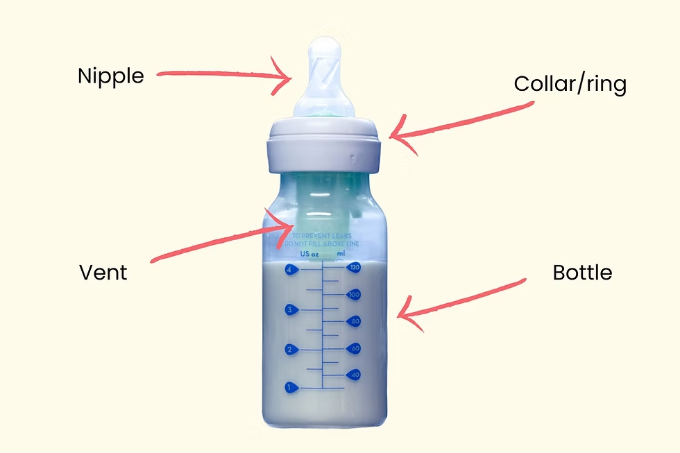 What to Do With Old Baby Bottles: Smart Options for Brooklyn Parents - photo 3 What to Do With Old Baby Bottles: Smart Options for Brooklyn Parents - photo 3